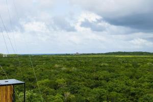 Rooftop Pool Paradise with Jungle Views