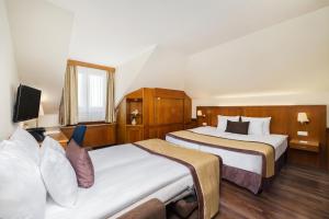 Carlton Hotel Buda Castle