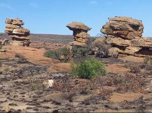 Nectar Game Lodge - Rietfontein