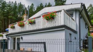 Apartament kremowy nad jeziorem PZW Kazub