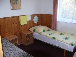 Double or Twin Room with Shared Bathroom room in Penzion Dana Troja