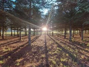 Vue de Rennes-le-Château - Luc-sur-Aude