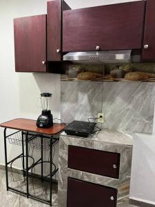 Departamento completamente nuevo y amueblado