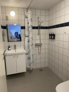 Apartment close to the center of Aalborg