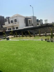 Ginger Garlic Chandigarh