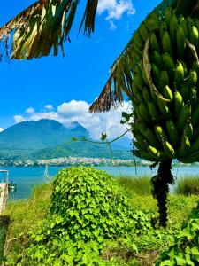 Paradise of Atitlan