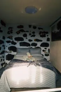 Los Amantes de la naturaleza. - Achadas da Cruz