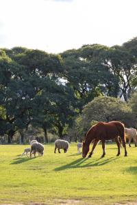 Campo Talamera