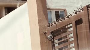 el balcón de los leones