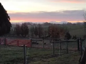 Grandview Bed and Breakfast - Hunter