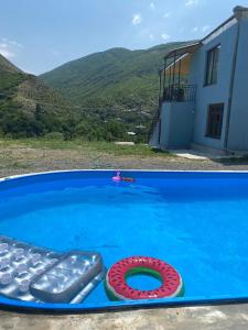 Timeout in the Countryside Wine Chateau near Tbilisi