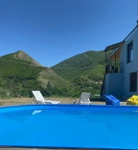 Chateau Mziani - Gori