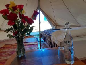 Glampings Hangar 5 Mexico