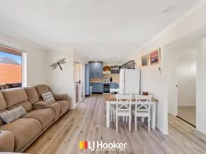 The Palms - 伊鲁卡