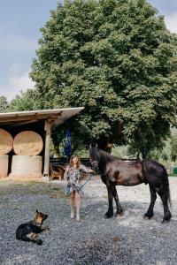 Andis Reiterstüberl, Rainweg 1 , 9311 Überfeld