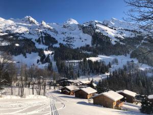 Splendide vu sur les ARAVIS