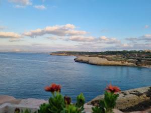 Villa Maddalena guest house img48