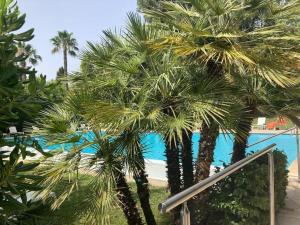 Rénové, grande terrasse, piscine, au calme absolu