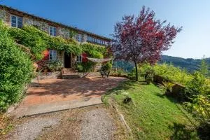 Podere In Cima - Valdottavo