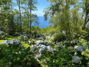 Apartamentos Mar y Mar Agroturismo