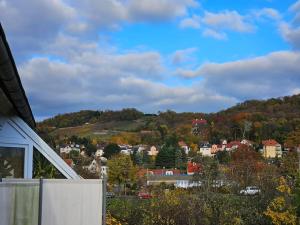 Ferienwohnung mit Weinbergblick