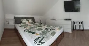 Zimmer Immendingen - Engen