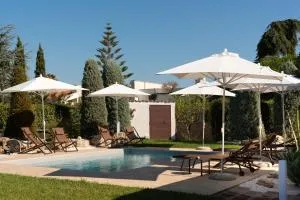 Radici d'Olivo - 比谢列