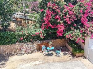 Appartement - Toulon