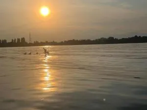 Lotus Retreat - Turbaţi