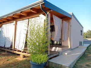 Nature Home Eco-friendly Pet-friendly