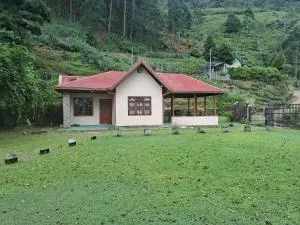 Tea Flower Adventure - Galuke