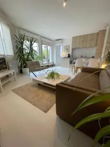 Appartement ,superbe terrasse 40m2 , vieux Lille , centre ville - 朗贝萨尔
