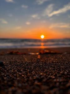 Villa Stefania img41