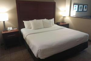 King Room - Disability Access/Non-Smoking room in Comfort Inn Duncansville – Altoona