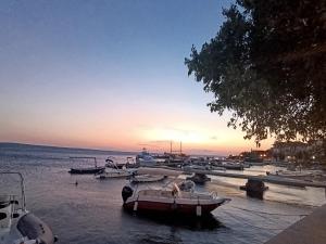 VILLA APARTMENTS FILIP 