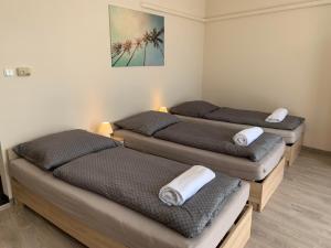 Silver Shine Apartman