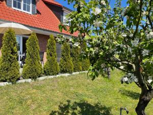 Ferienhaus am Darß