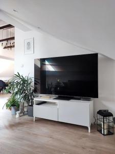 Stylowy Apartament z ogrodem