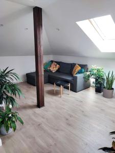 Stylowy Apartament z ogrodem