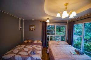 ปางสูงเฮาส์ บ้าน Coffee Love