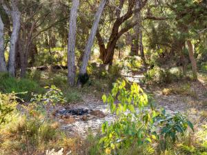 Inji Homestead - 5 acre holiday home in Margaret river region