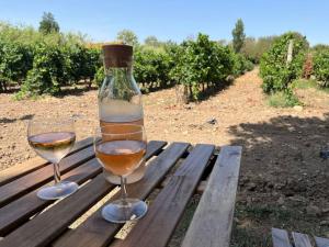 Appartements Domaine des Lions - Logement chaleureux climatise a Serignan : photos des chambres