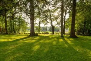 Erve Dennenoord - Ootmarsum