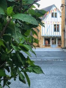 Appartements Duplex dans le coeur historique de Guerande : photos des chambres