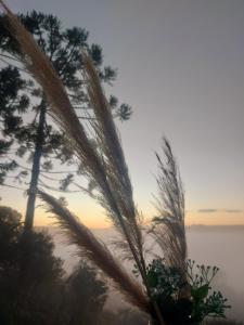 Chalé com banheira de hidromassagem e mesa de sinuca