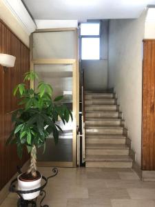 Sansovino Bed and Car