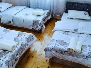 Minor Hostel Luxury - Tsyplan