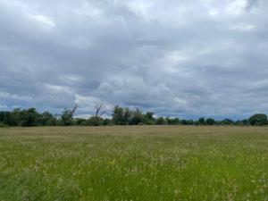Graues Zimmer in Wohnung mit Balkon