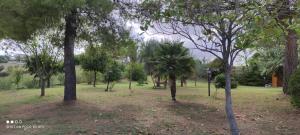 Villa LobRau