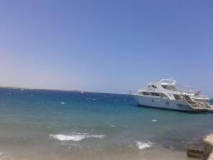 Desert Rose Apartment